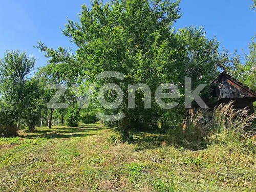 Prodej domu 300 m², pozemek 2567 m²