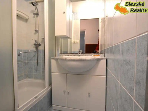 Prodaný byt 2+1 52 m²