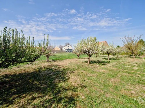Prodej domu 153 m², pozemek 503 m²