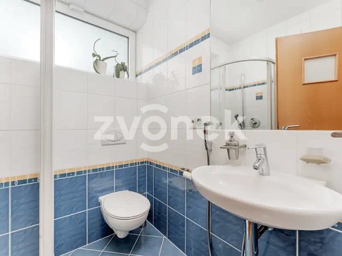 Prodej vily 479 m², pozemek 1503 m²