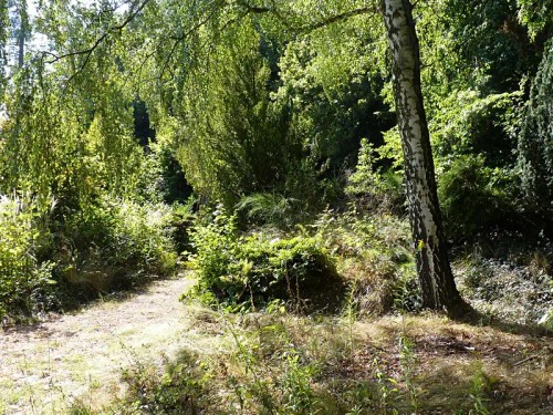 Prodej stavebního pozemku 770 m²
