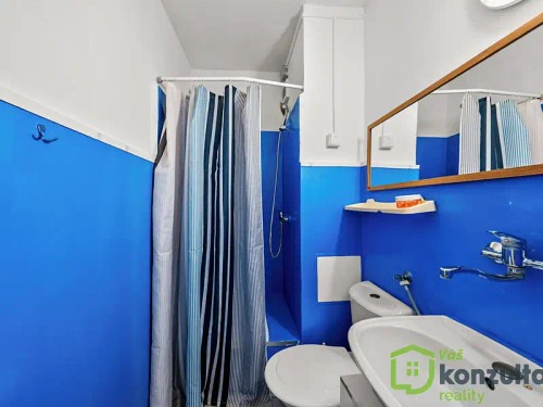 Prodej bytu 2+1 31 m²
