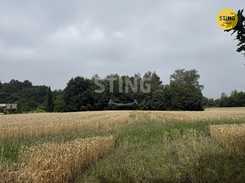Prodej stavebního pozemku 1099 m²