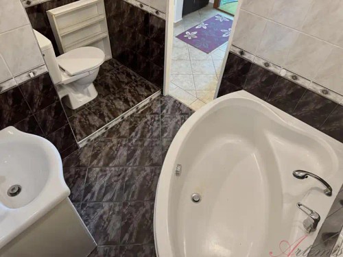 Prodaný byt 3+1 68 m²