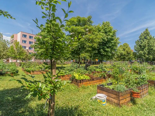 Prodaný byt 3+1 74 m²