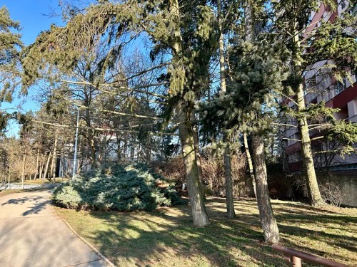 Prodaný byt 1+1 29 m²