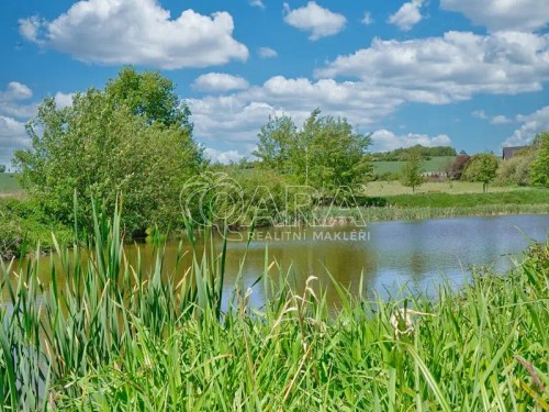 Prodej stavebního pozemku 5569 m²