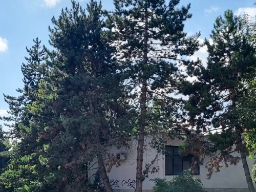 Prodaný  byt 1+1 44 m²