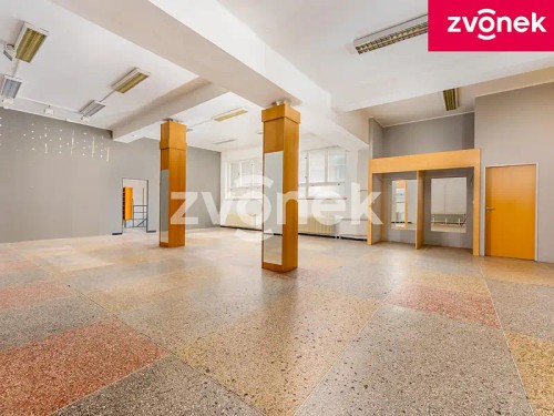 Prodej vily 700 m², pozemek 894 m²