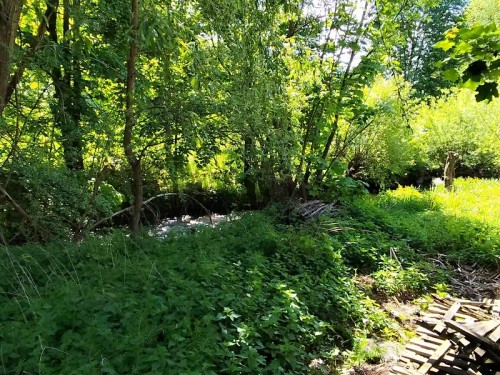 Prodej domu 135 m², pozemek 427 m²