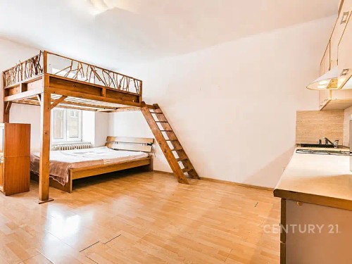 Prodej bytu 1+1 45 m²