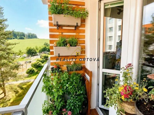 Prodej bytu 3+1 79 m²