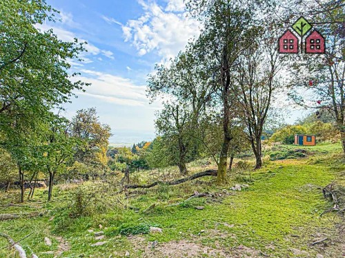 Prodej stavebního pozemku 7538 m²