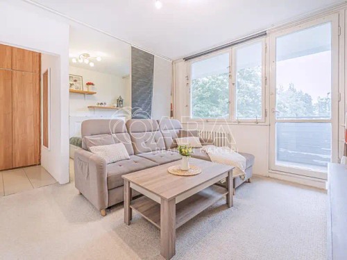 Prodaný byt 1+kk 41 m²