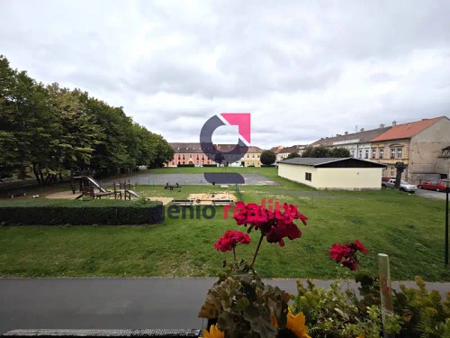 Prodej bytu 4+1 142 m²