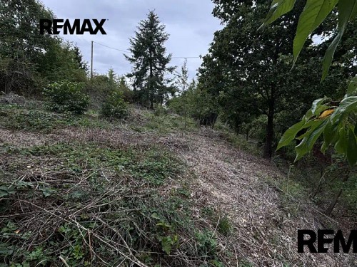 Prodej stavebního pozemku 1335 m²