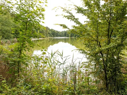 Prodej domu 260 m², pozemek 2877 m²