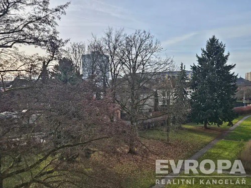 Prodej bytu 1+1 28 m²