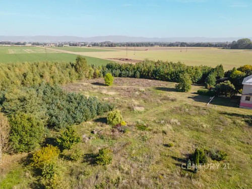 Prodej stavebního pozemku 1036 m²