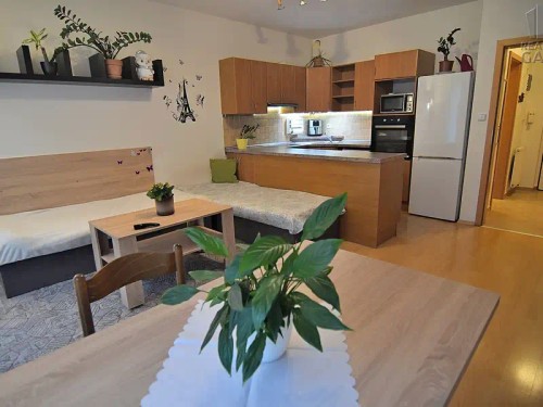 Prodaný  byt 2+kk 55 m²