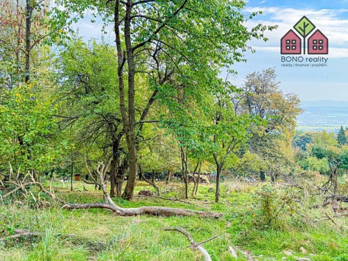 Prodej stavebního pozemku 7538 m²