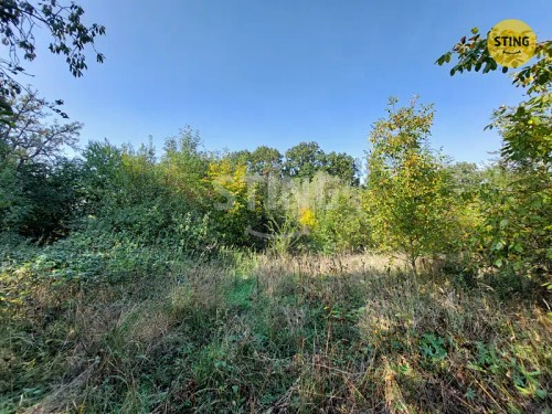 Prodej zemědělské usedlosti 260 m², pozemek 6448 m²