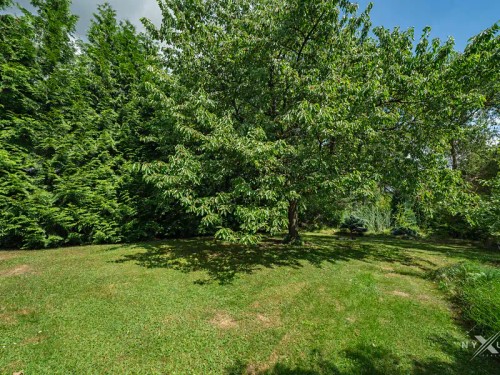 Prodej stavebního pozemku 1081 m²
