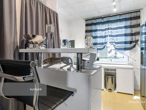 Prodej bytu 3+1 75 m²