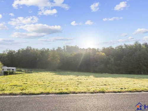 Prodej stavebního pozemku 2600 m²