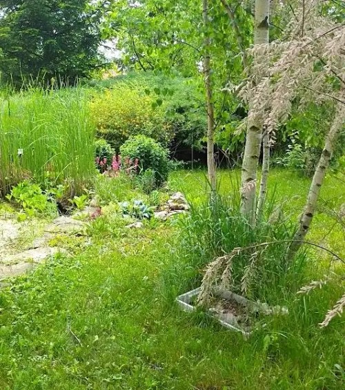 Prodej domu 160 m², pozemek 4332 m²