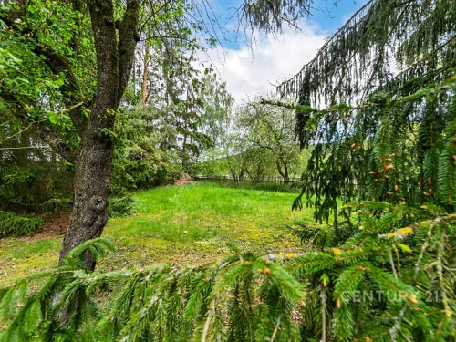 Prodej chalupy 144 m², pozemek 4160 m²