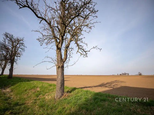 Prodej bytu 3+1 71 m²