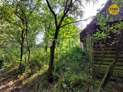 Prodej zemědělské usedlosti 260 m², pozemek 6448 m²
