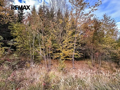 Prodej stavebního pozemku 1289 m²