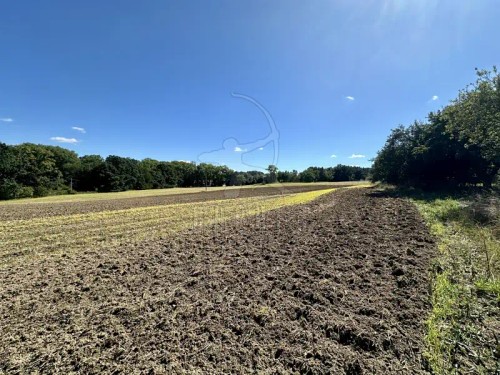 Prodej stavebního pozemku 1016 m²