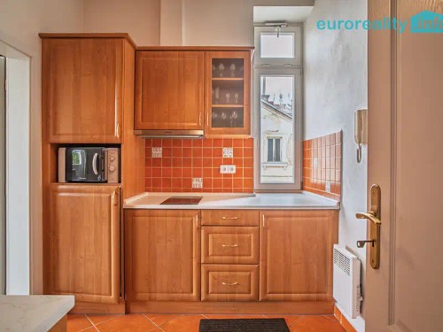 Prodej bytu 1+1 31 m²