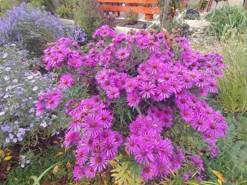 Prodej bytu 2+1 75 m²