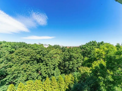 Prodej bytu 4+1 109 m²