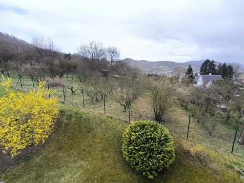 Prodej bytu 2+1 60 m²