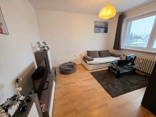 Prodaný  byt 1+1 29 m²
