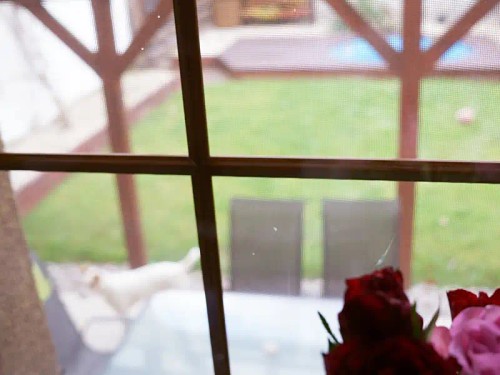 Prodej domu 271 m², pozemek 126 m²