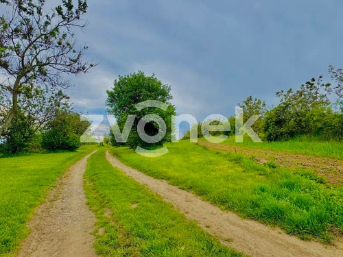Prodej stavebního pozemku 2143 m²