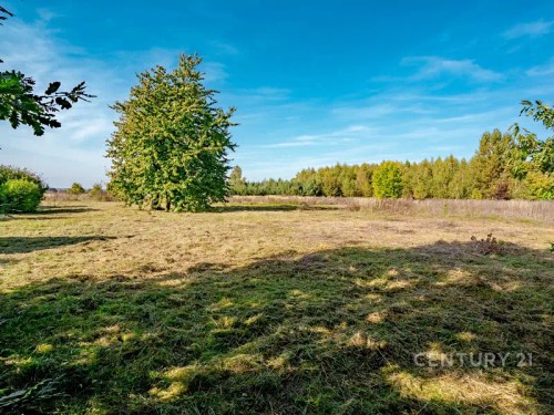 Prodej stavebního pozemku 974 m²