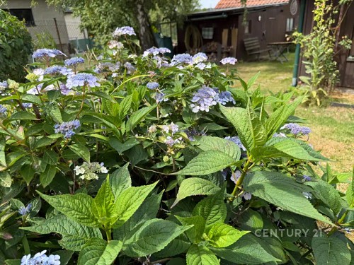 Prodej chaty 40 m², pozemek 405 m²