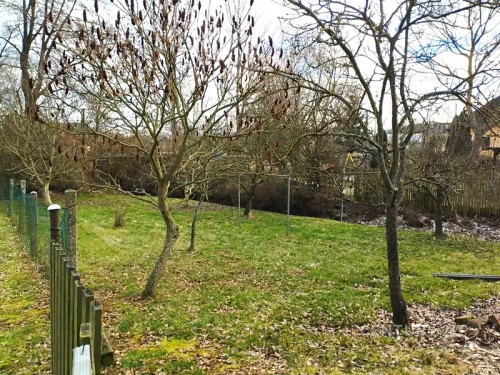 Prodej domu 140 m², pozemek 590 m²