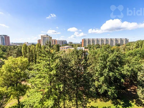 Prodaný byt 2+kk 46 m²