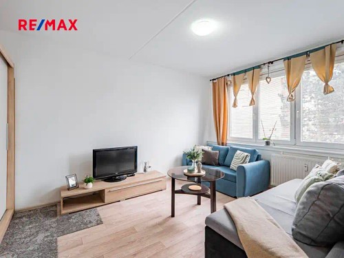 Prodej bytu 1+1 30 m²