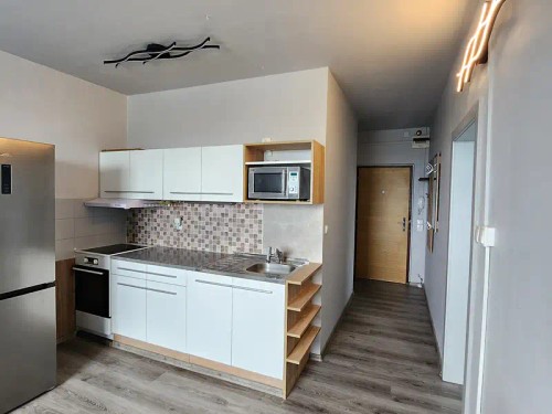 Prodaný  byt 1+1 43 m²