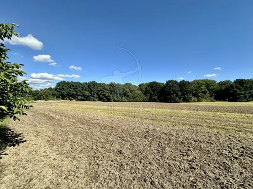 Prodej stavebního pozemku 1016 m²