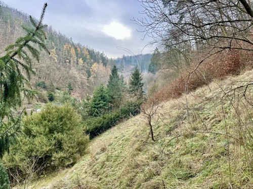 Prodej domu 55 m², pozemek 2261 m²